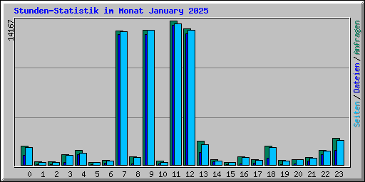 Stunden-Statistik im Monat January 2025